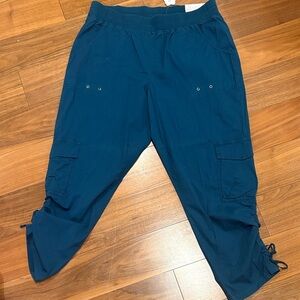 Soft Surroundings Teal Straight Leg Ankle Pants Size Large 14-16